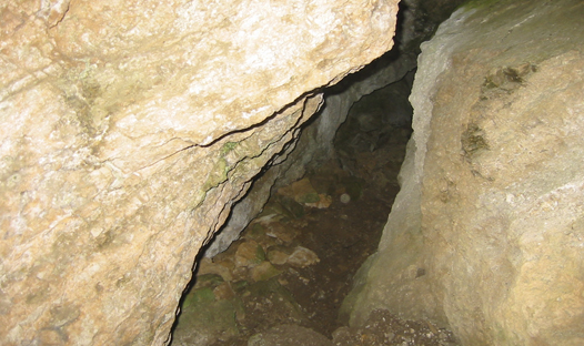 Les coves de Santa Anna